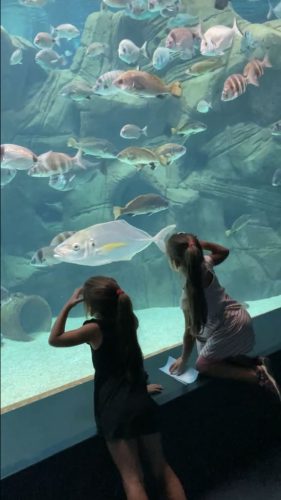 aquarium